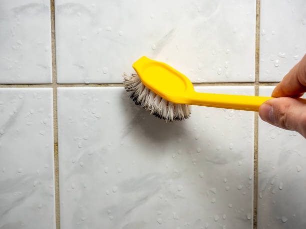 Best Office Mold Removal Services  in Council Bluffs, IA