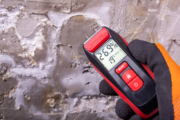 Best Mold Remediation Services  in Council Bluffs, IA